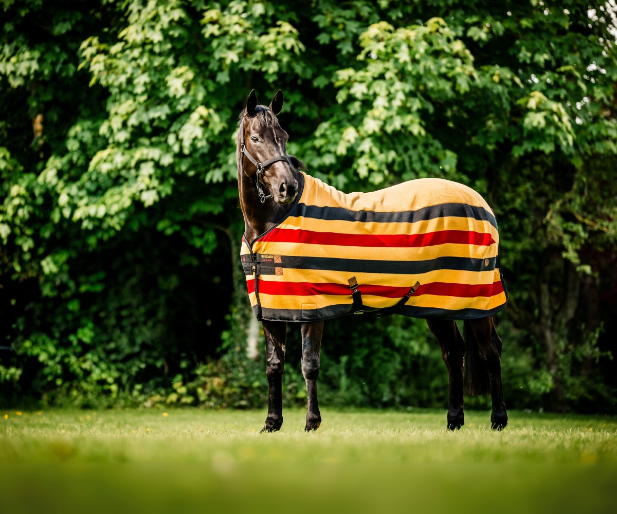 https://www.hogstaonline.de/pub_docs/files/Newmarket.png