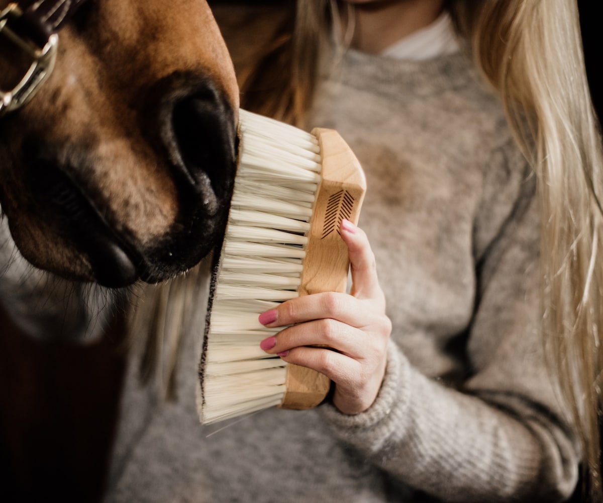https://www.hogstaonline.de/pub_docs/files/groomhorse.png