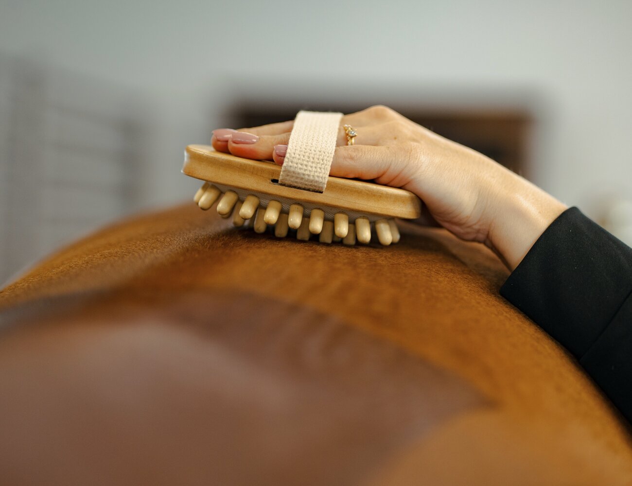 https://www.hogstaonline.de/pub_docs/files/massage_borste.png