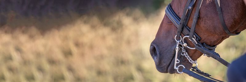 Schlaufe für Knebeltrense Trensenzubehör Trense Gebiss Zubehör 