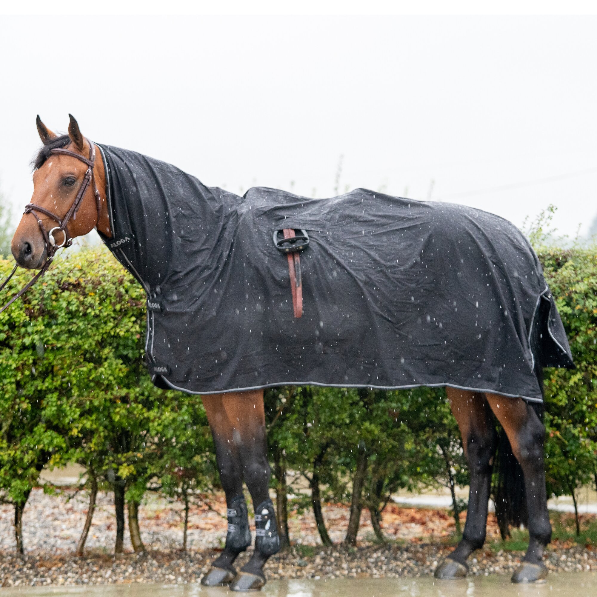 Aloga Pro Rain Sheet Ausreitdecke - Schwarz/Silber