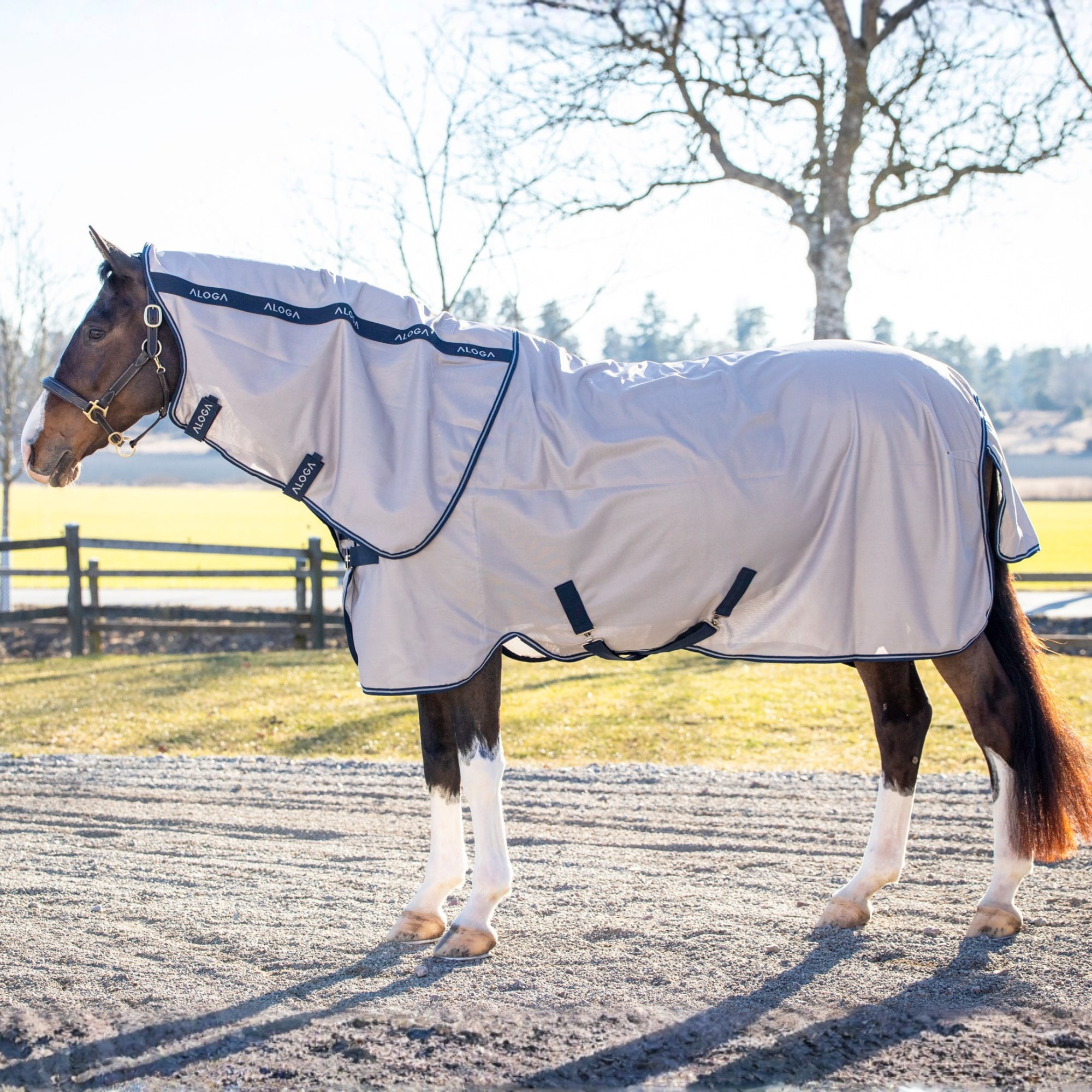 Aloga Fliegendecke Pony - Grau/Marine