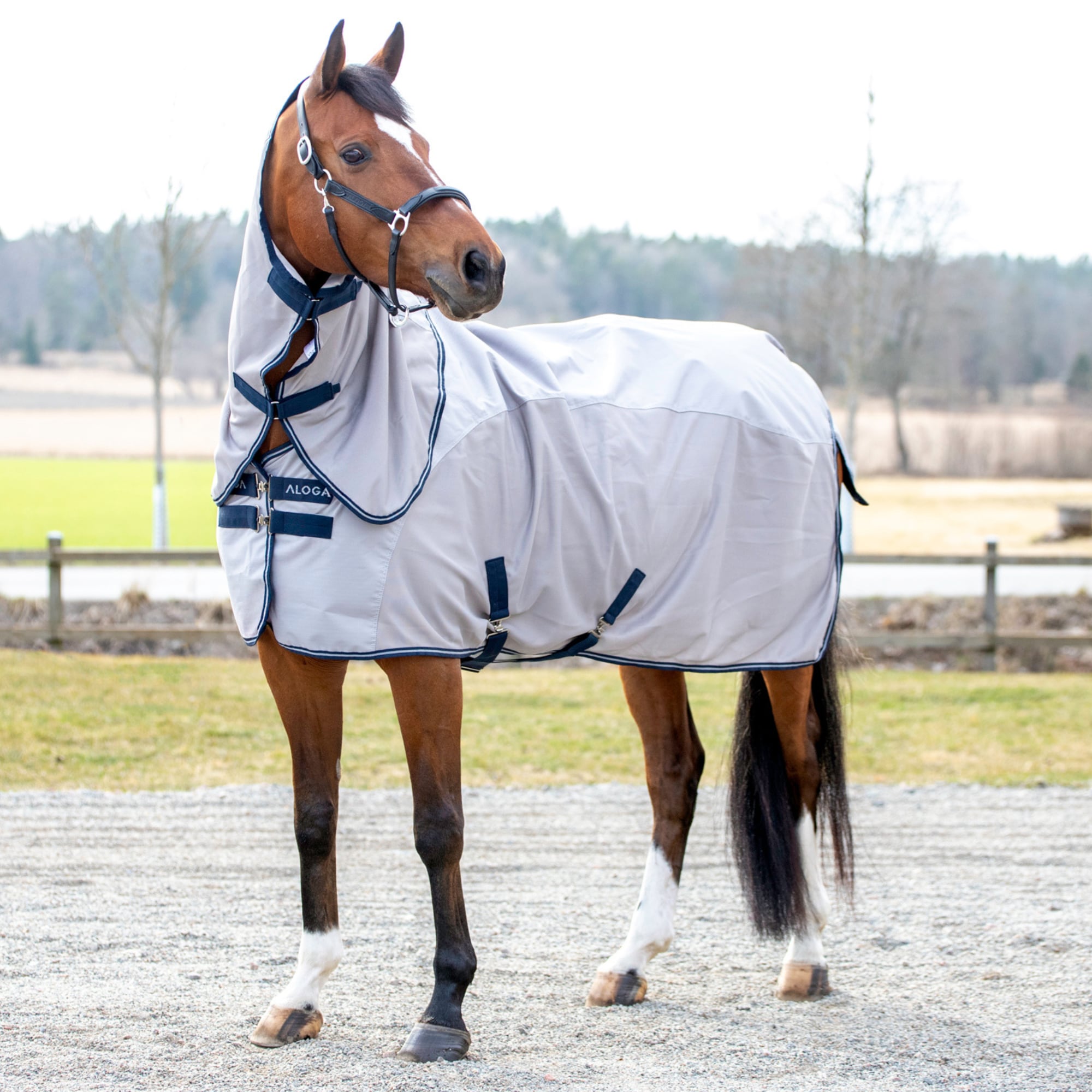 Aloga Fly Dry Fliegendecke - Grau/Marine