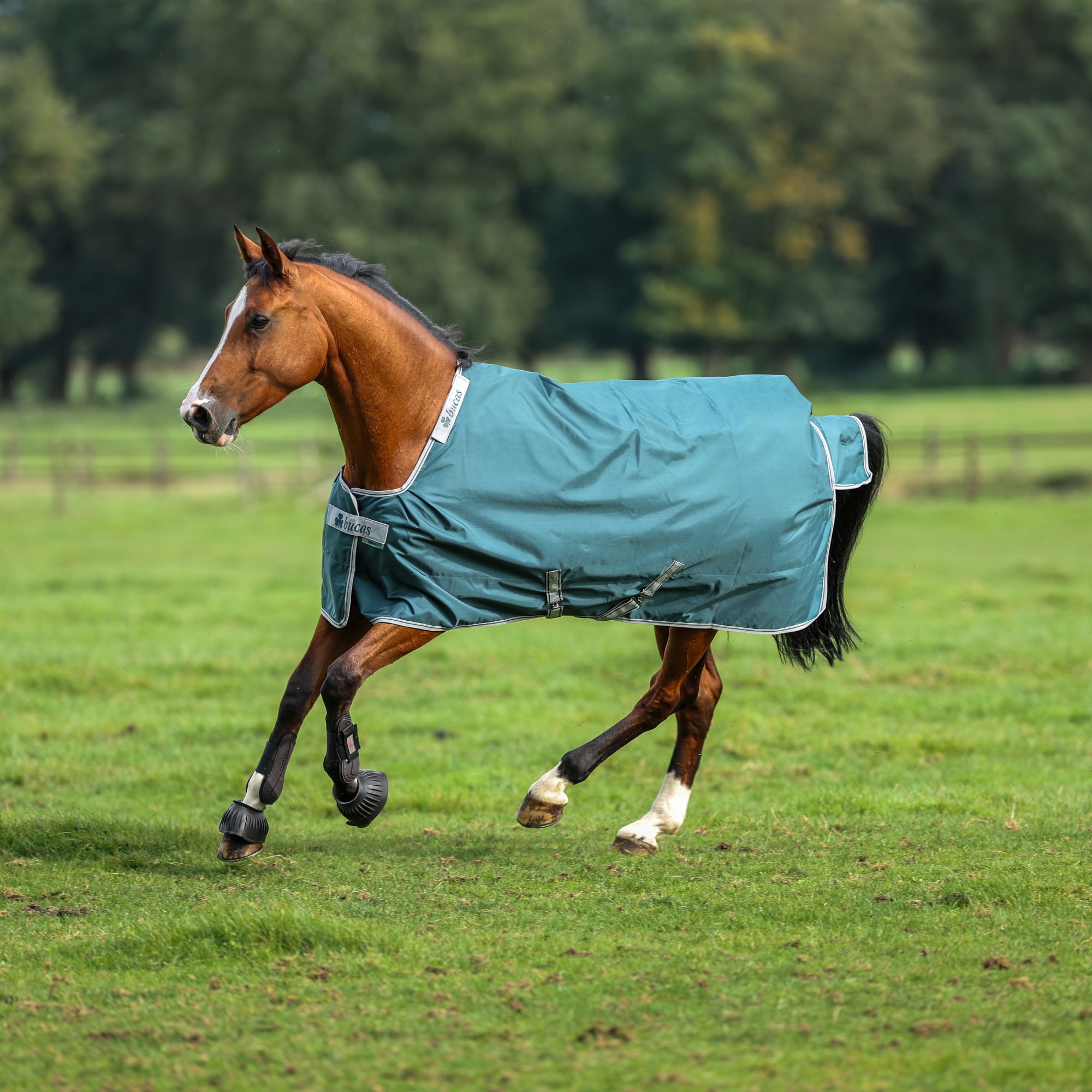 Atlantic Turnout 50g - Grün