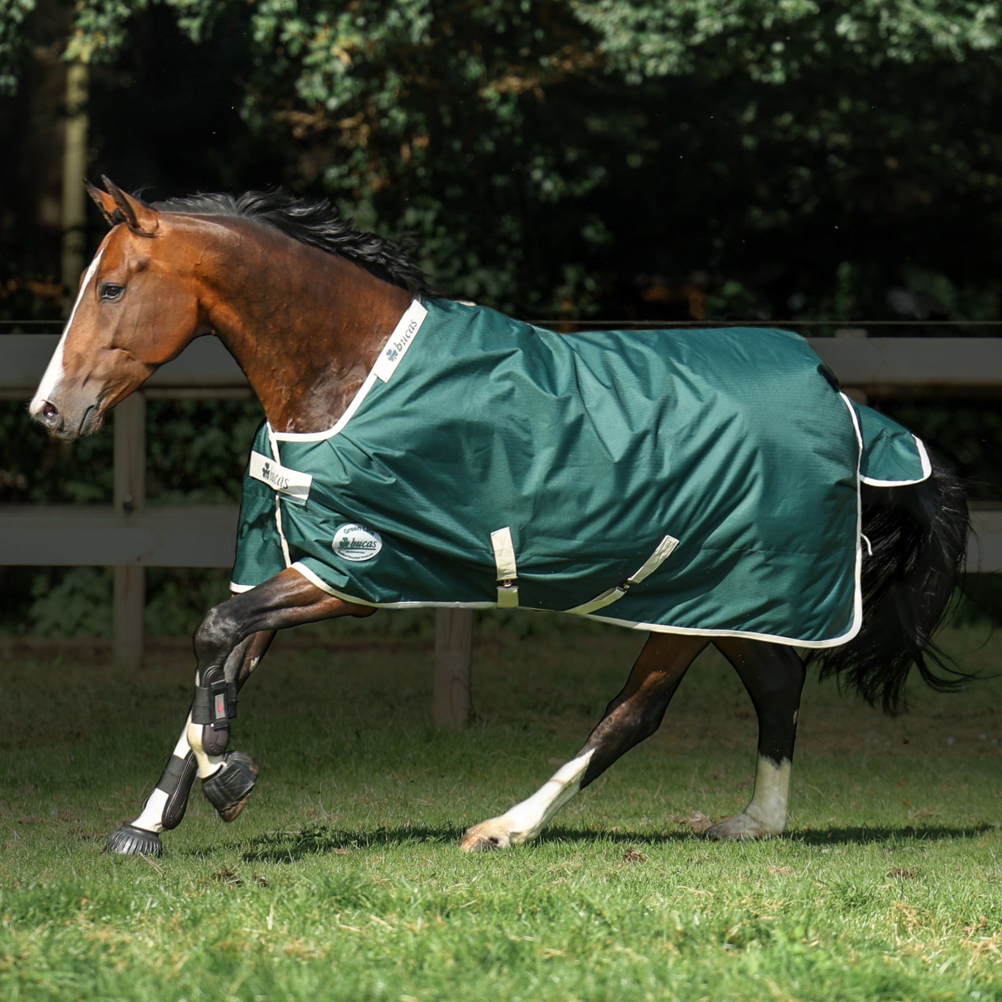 Green-Line Turnout 100g