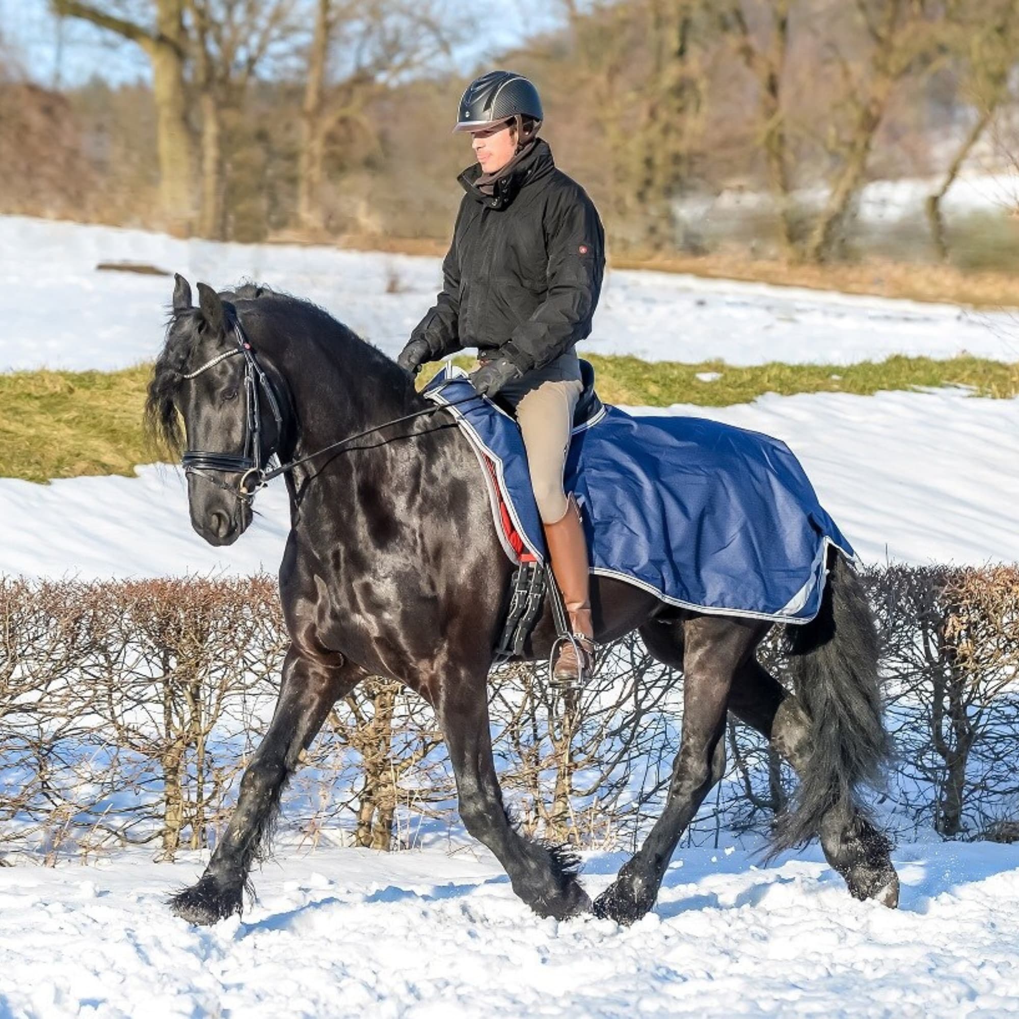 Reitdecke