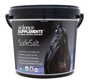 Safe Salt - 2 kg