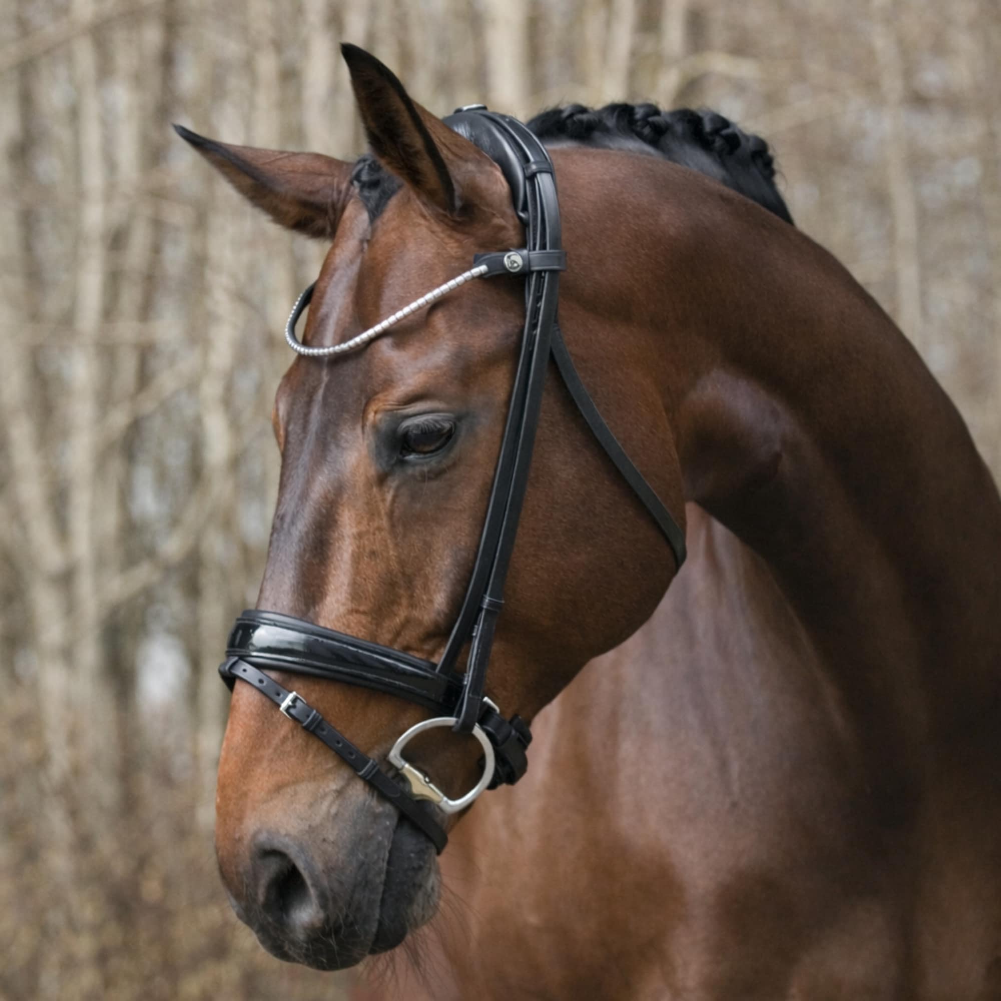 Finesse Bridle Cayenne - Schwarz Lack