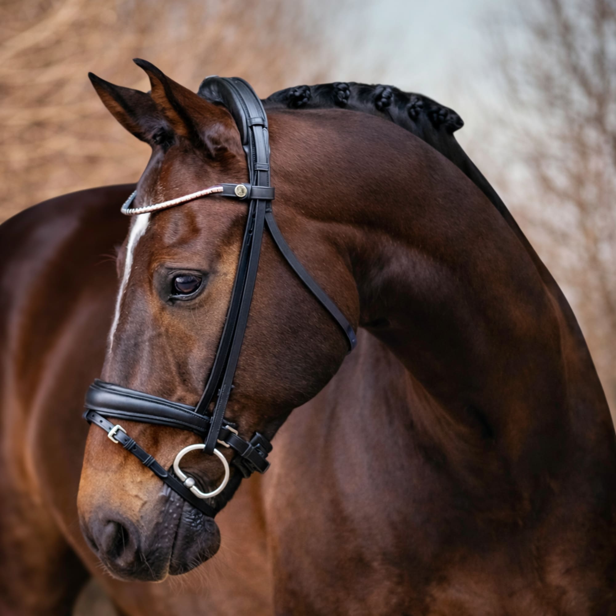 Finesse Bridle Cayenne - Schwarz