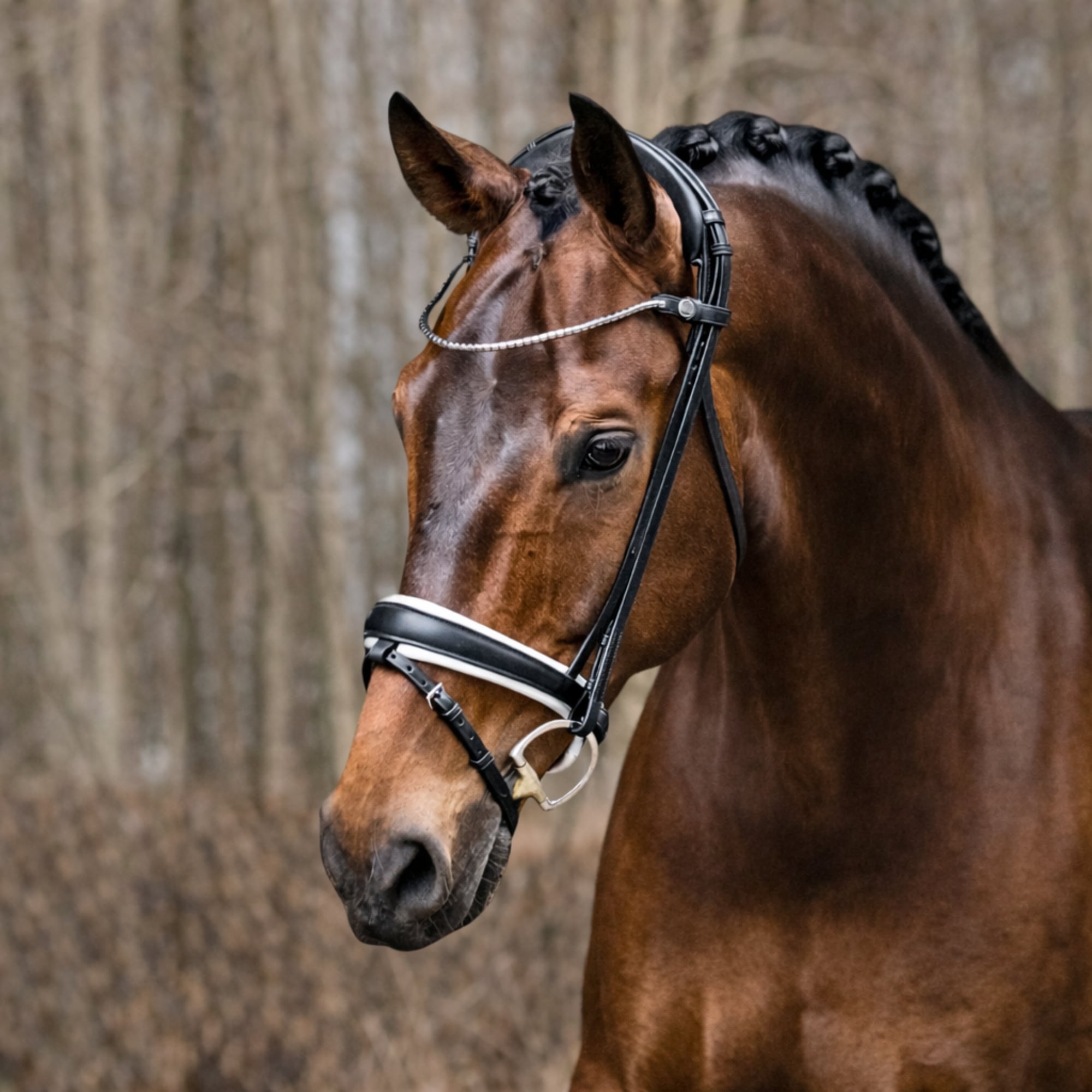 Finesse Flat Bridle Cayenne - Schwarz/Weiß