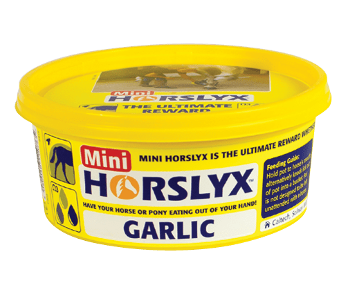 Horslyx Slicksten - Garlic