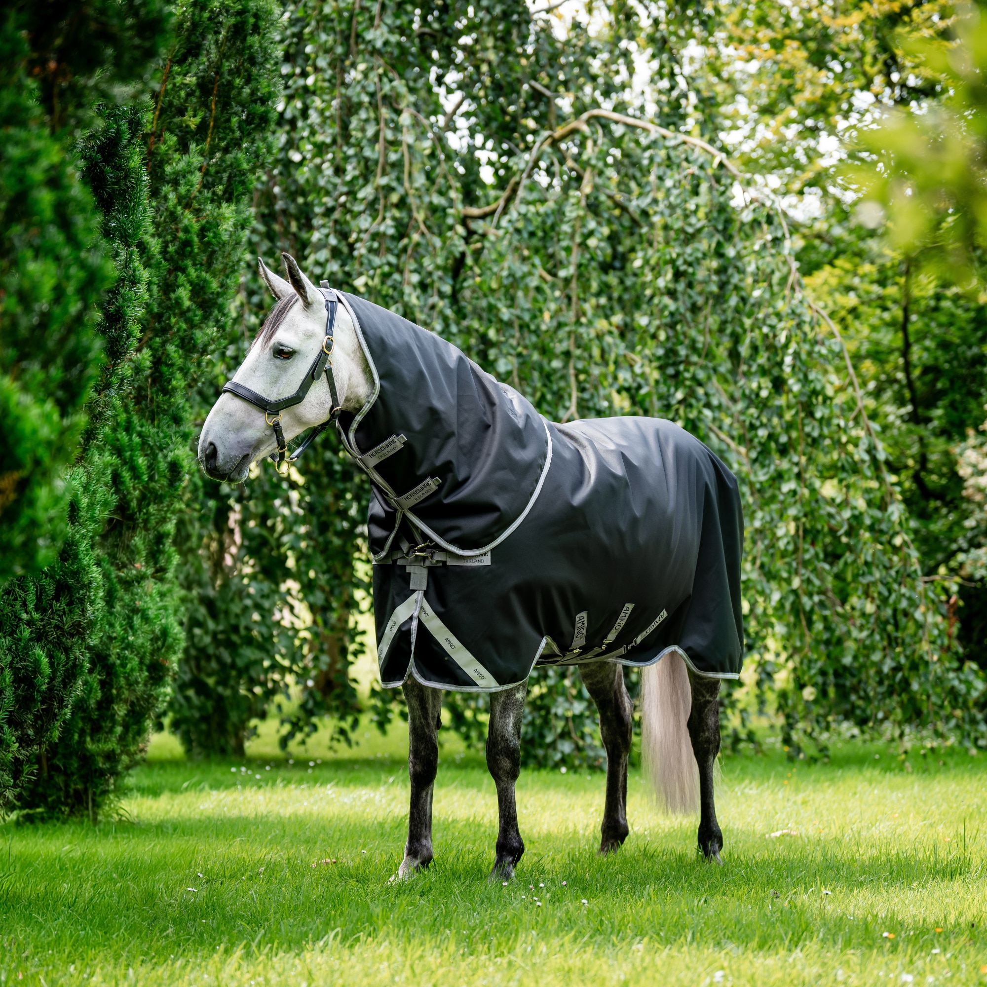 Amigo 1200D Plus Turnout - 50g - Schwarz