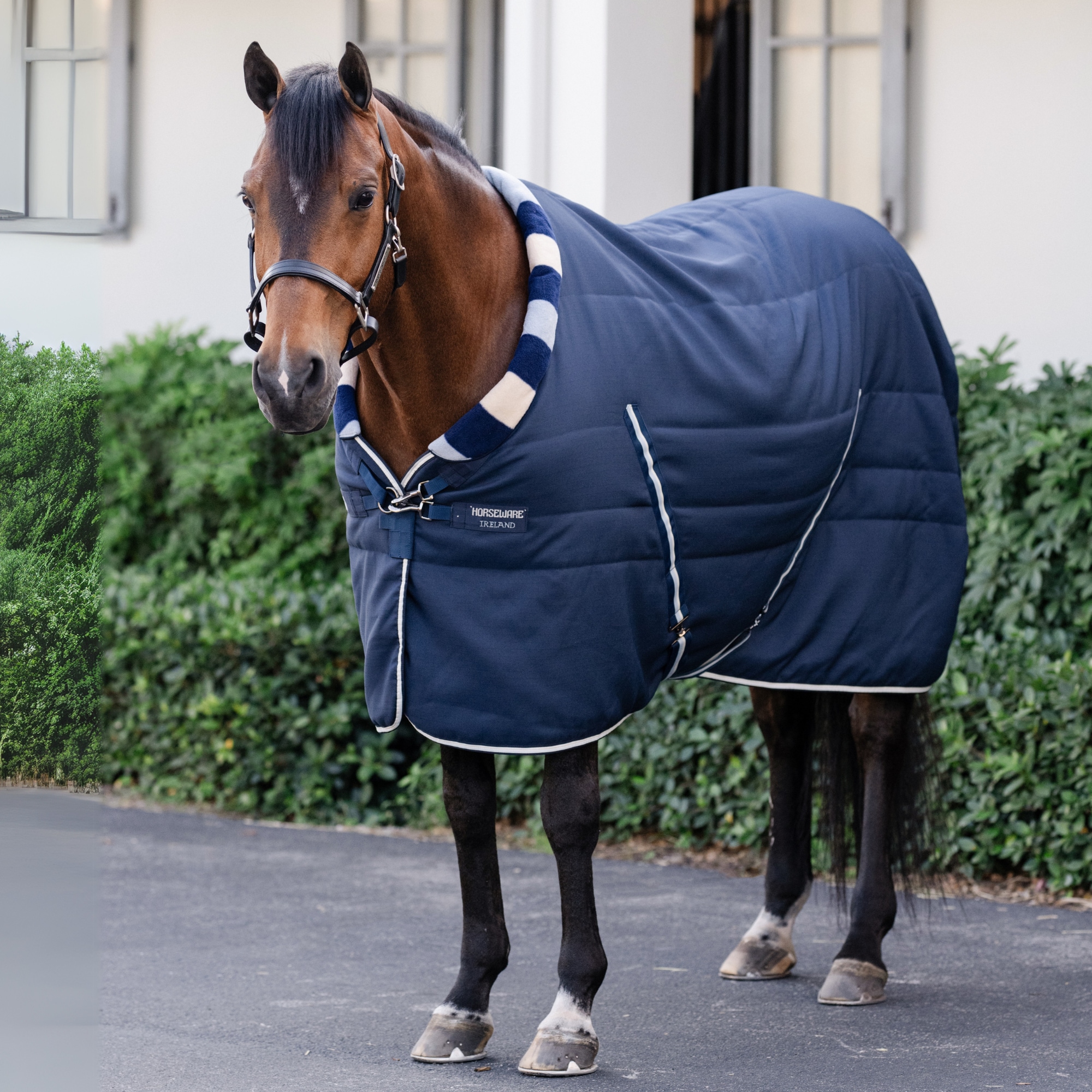 Newmarket Cosy - 100g - Witney Navy