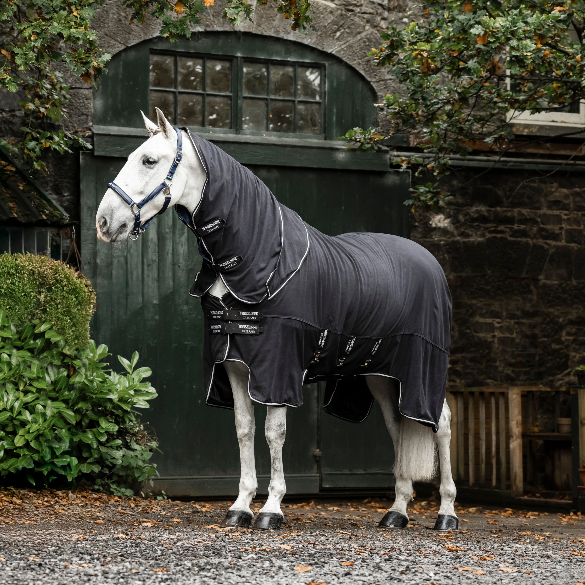Show Ready Rug - Schwarz