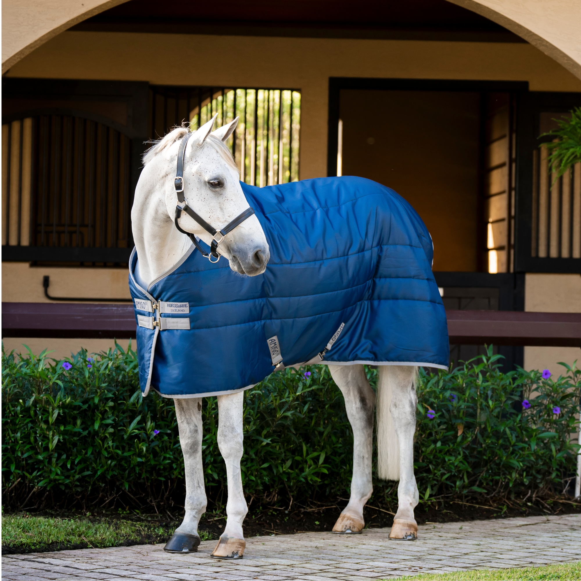 Amigo RS Insulator Pony - 100g - Marine