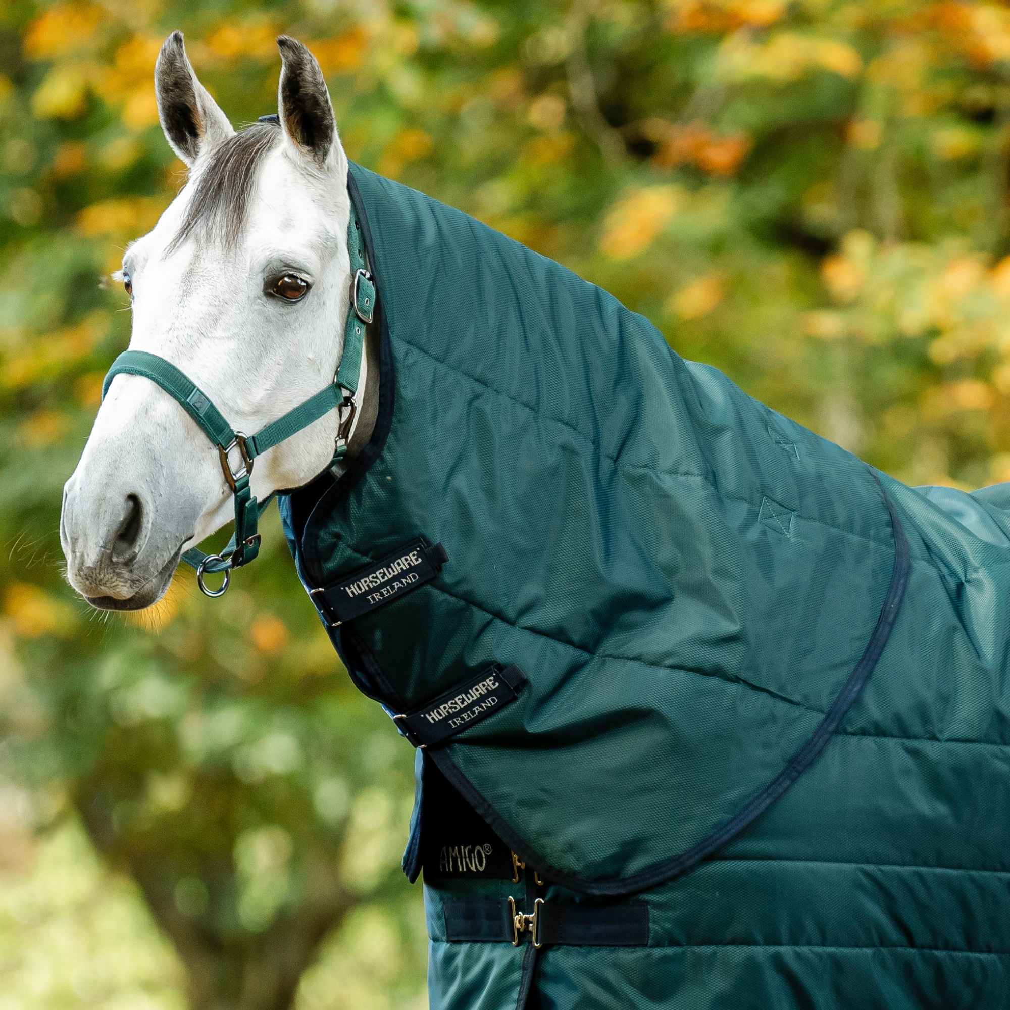 Amigo RS Insulator Hood 200g - Dynasty Green