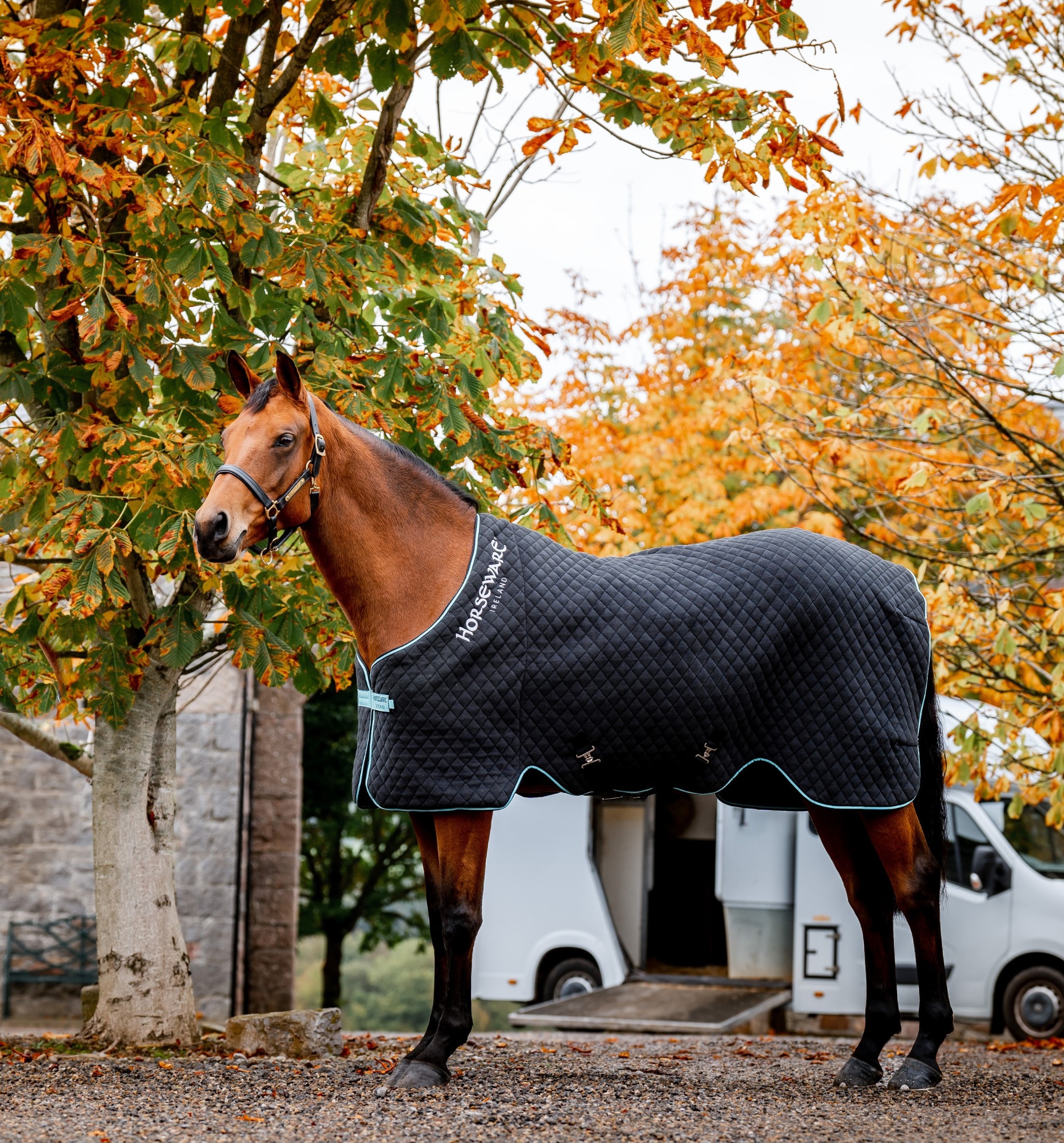 autumn-cooler-svart