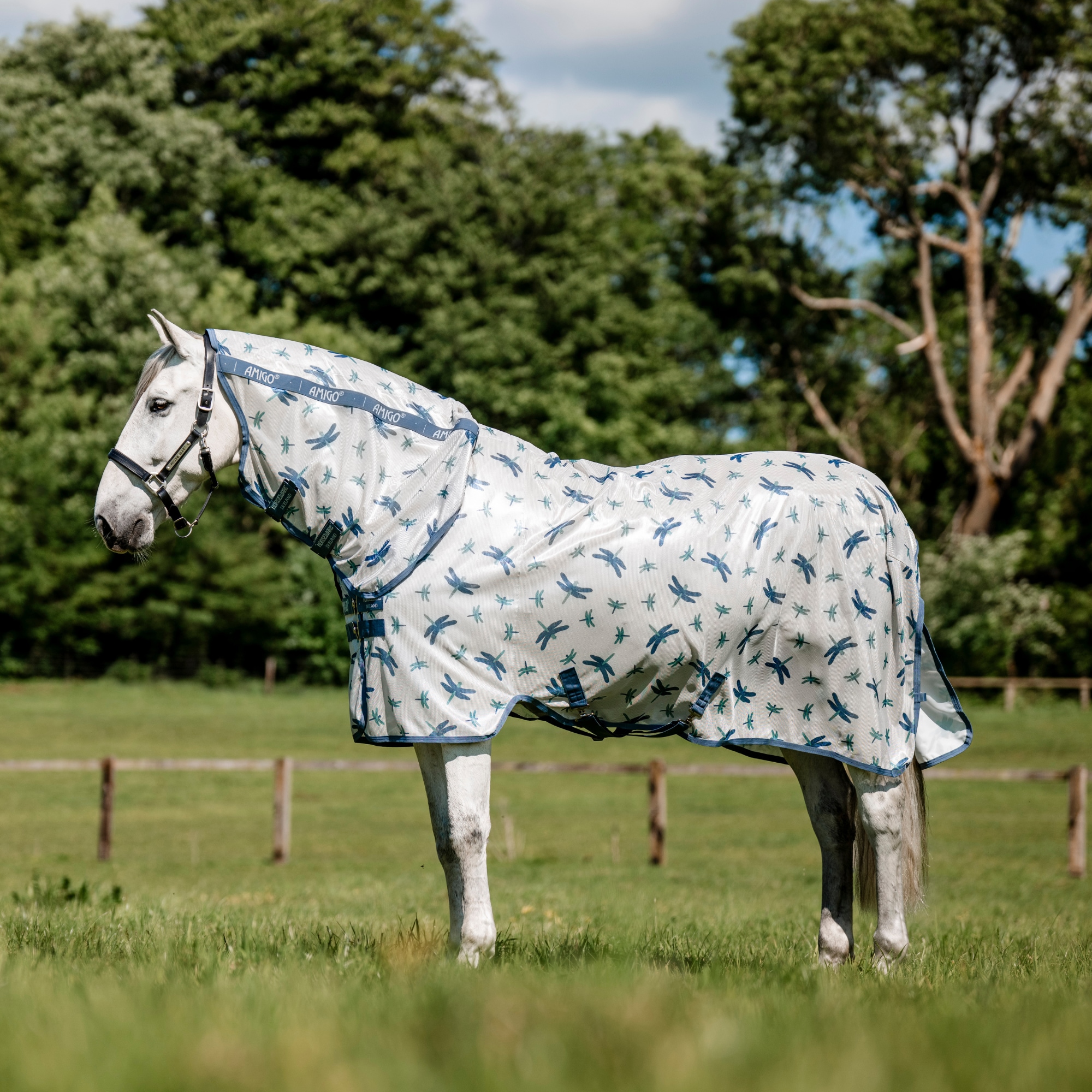 Amigo flugtäcke med integrerad hals och trollsländemönster