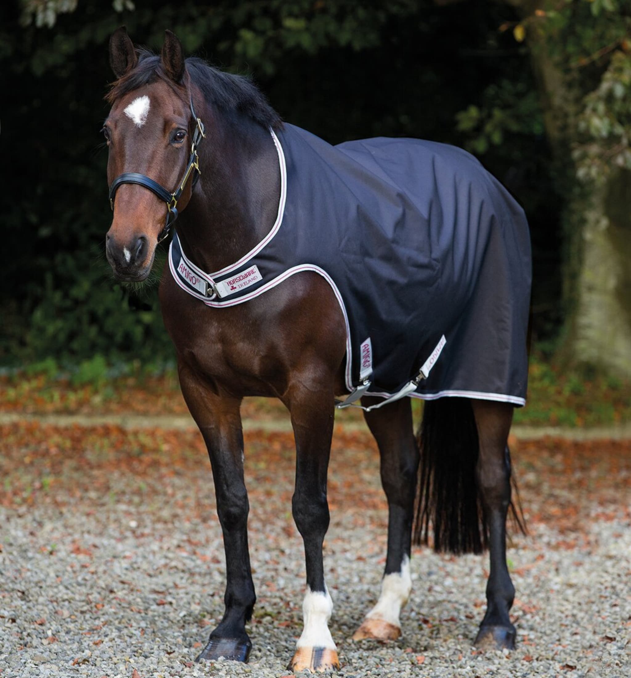 Amigo Walker Rug 100g - Schwarz