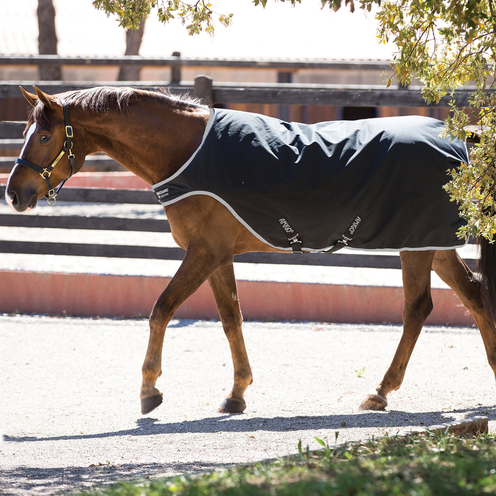 Amigo Walker Rug 200g - Schwarz