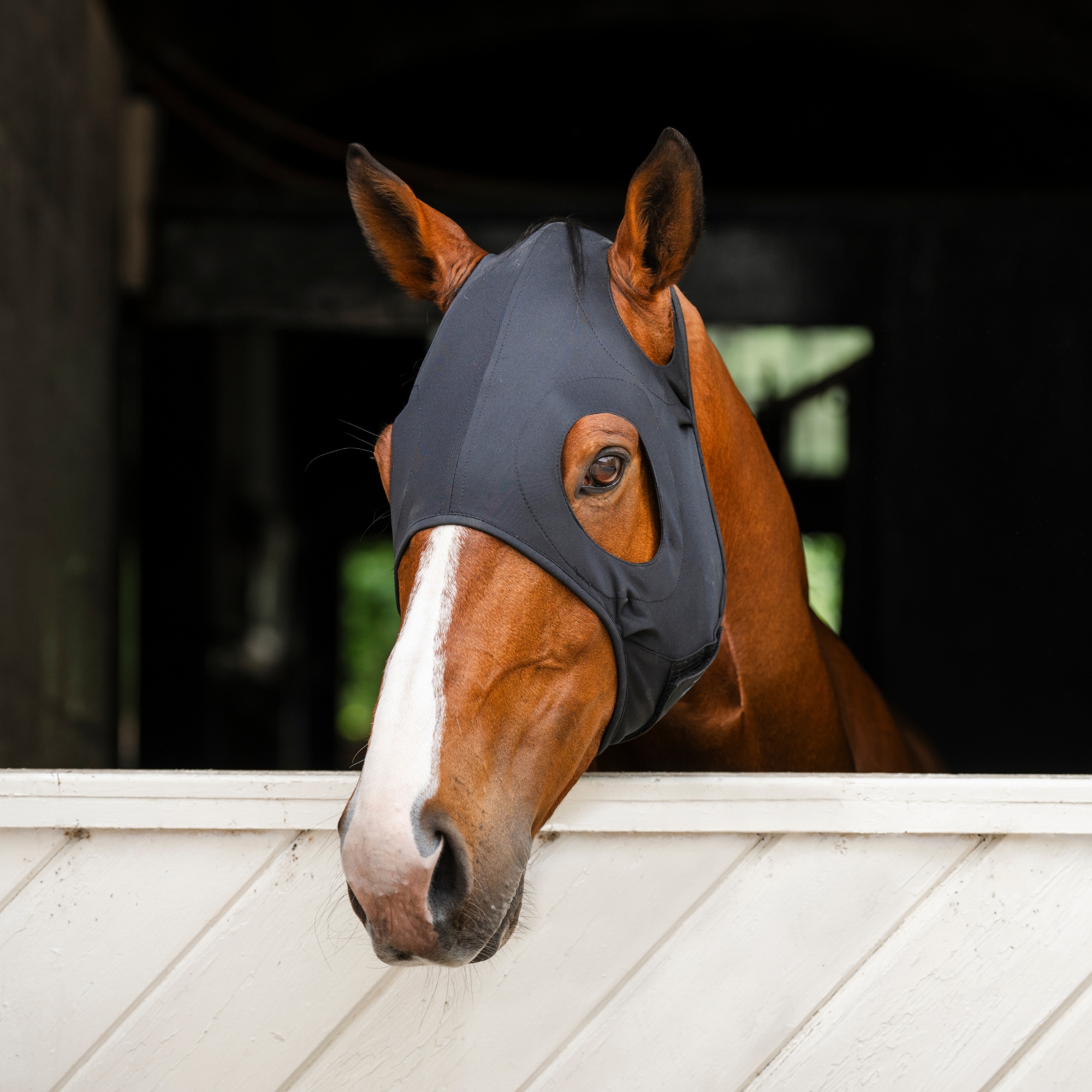 HW Ionic Stresshaube - Schwarz