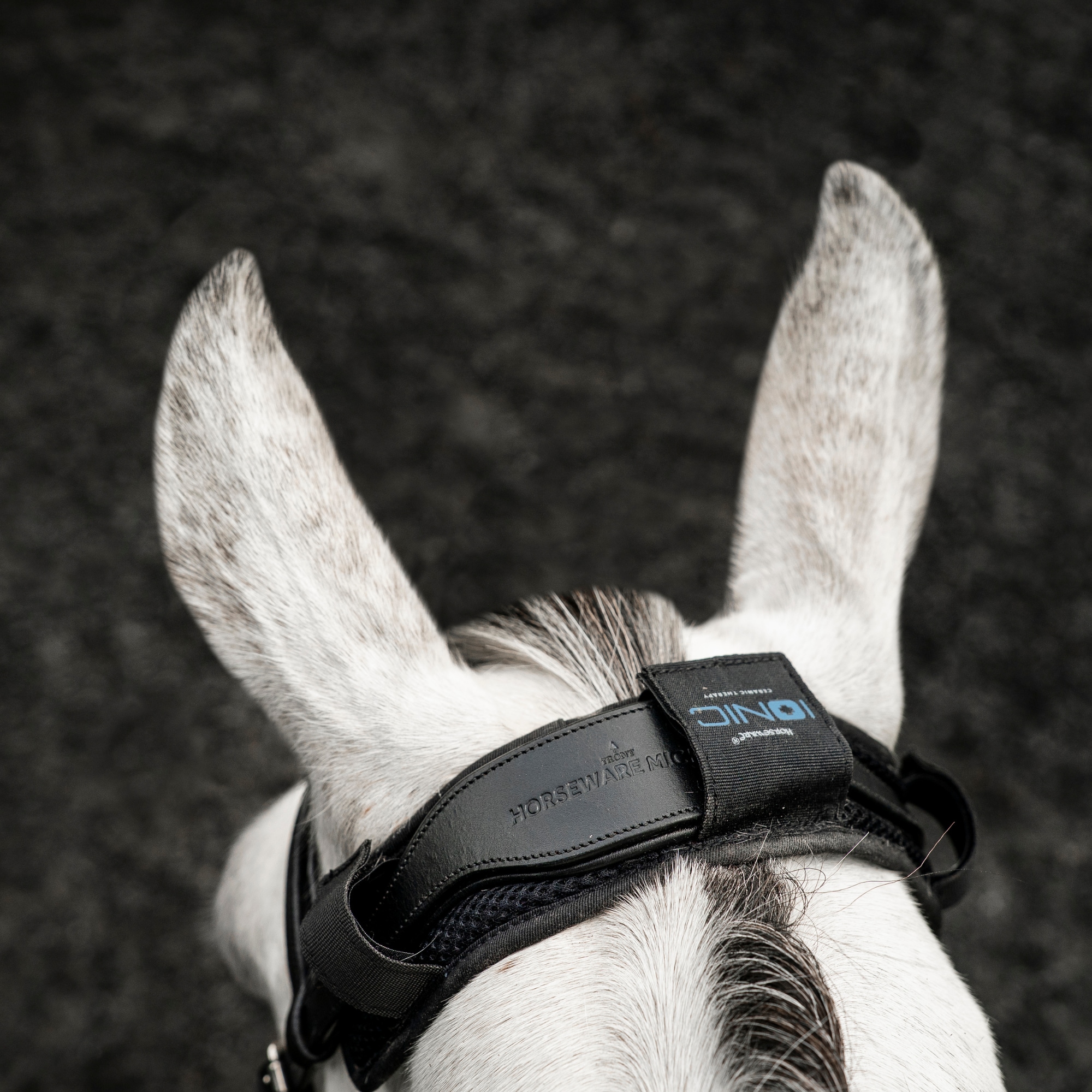 Horseware Ionic Genickpad - Schwarz