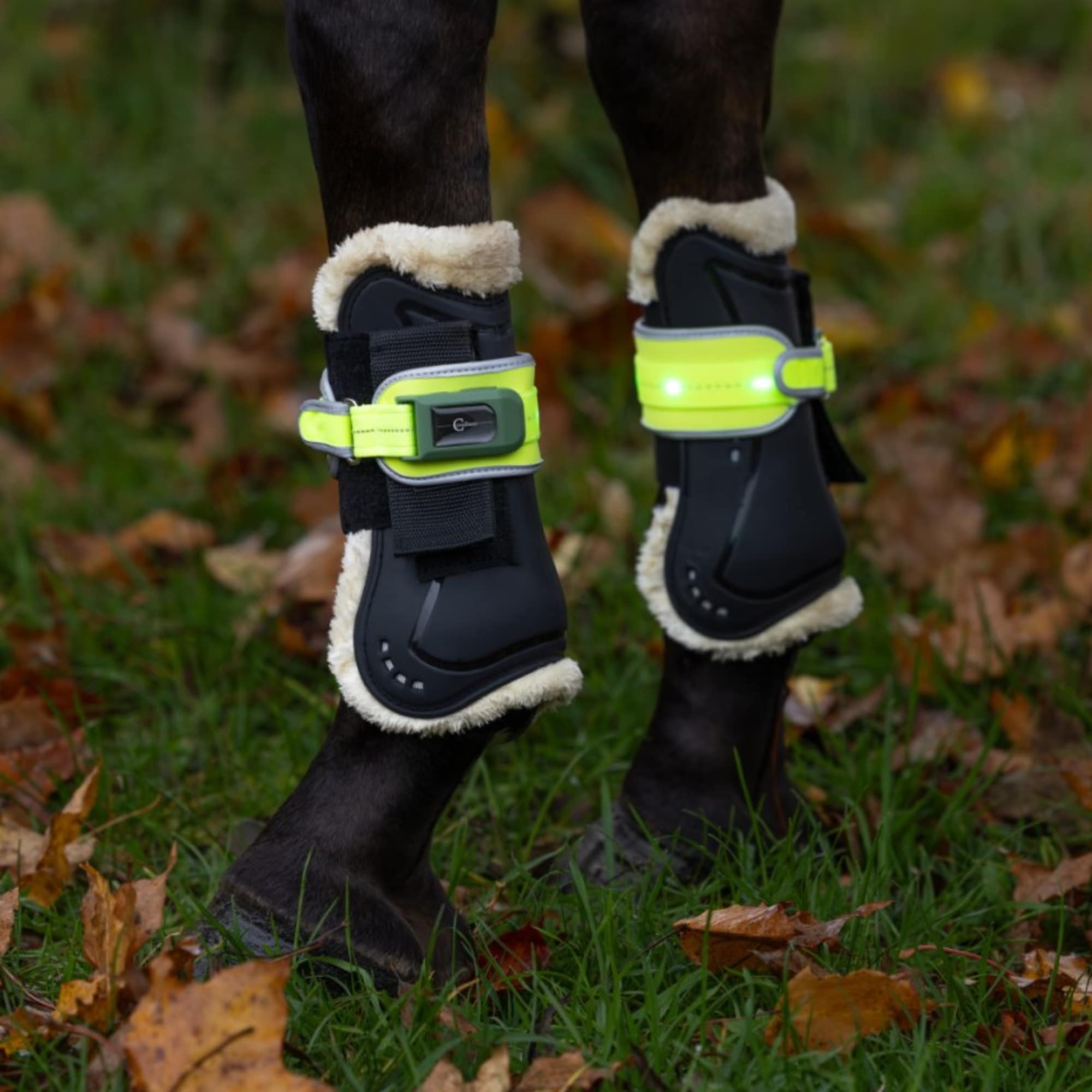 Beinreflex mit LED-Lampe