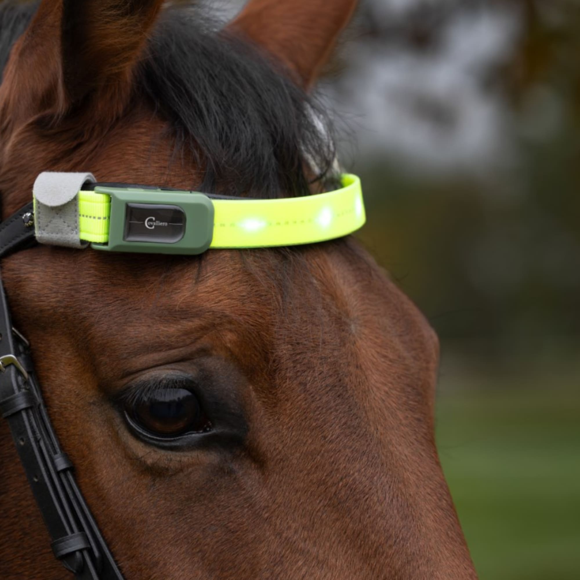 Stirnband mit LED-Lampe