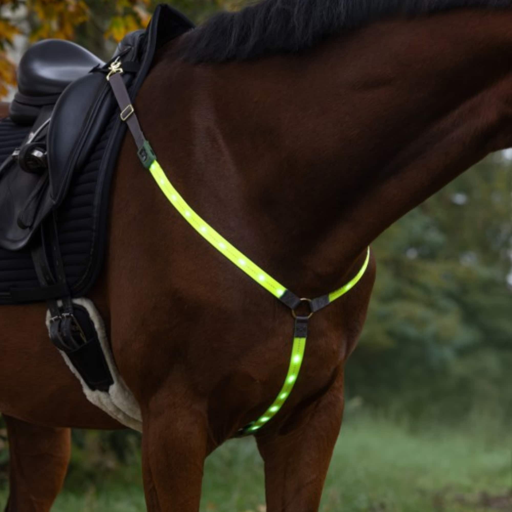 Brustgurt mit LED-Lampe