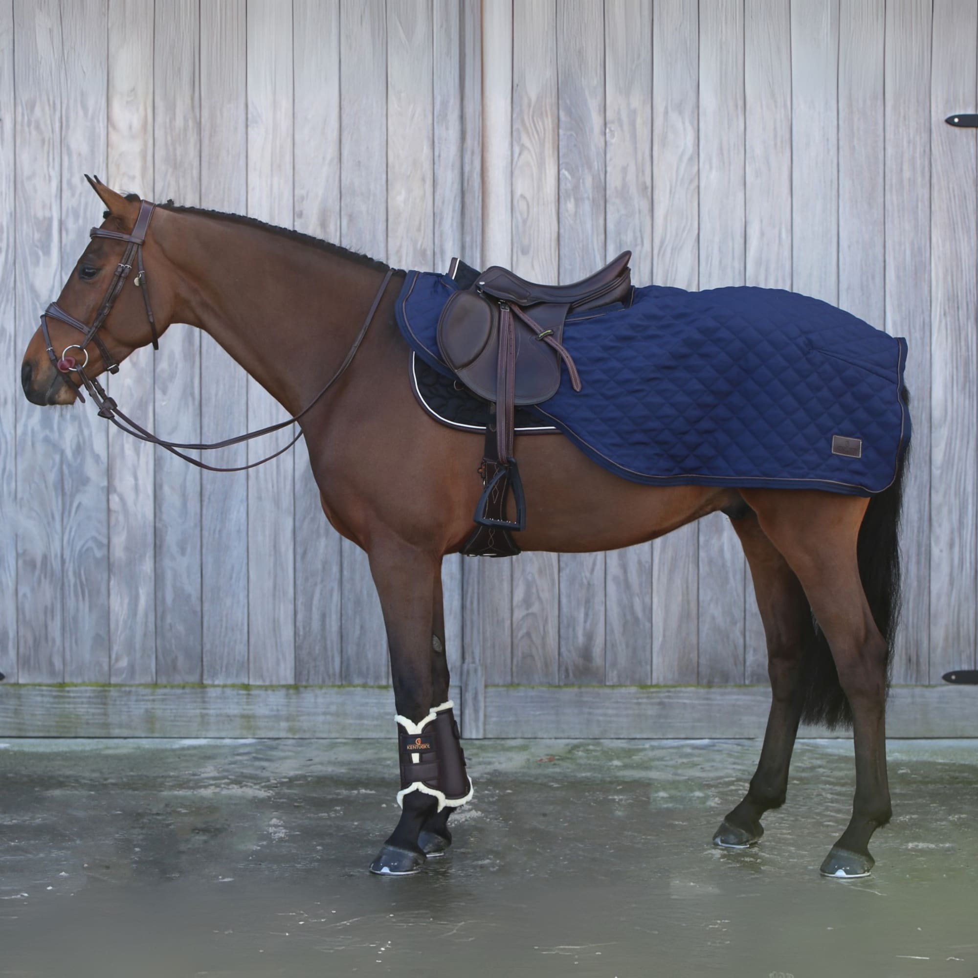 Reitdecke 160g - Marine
