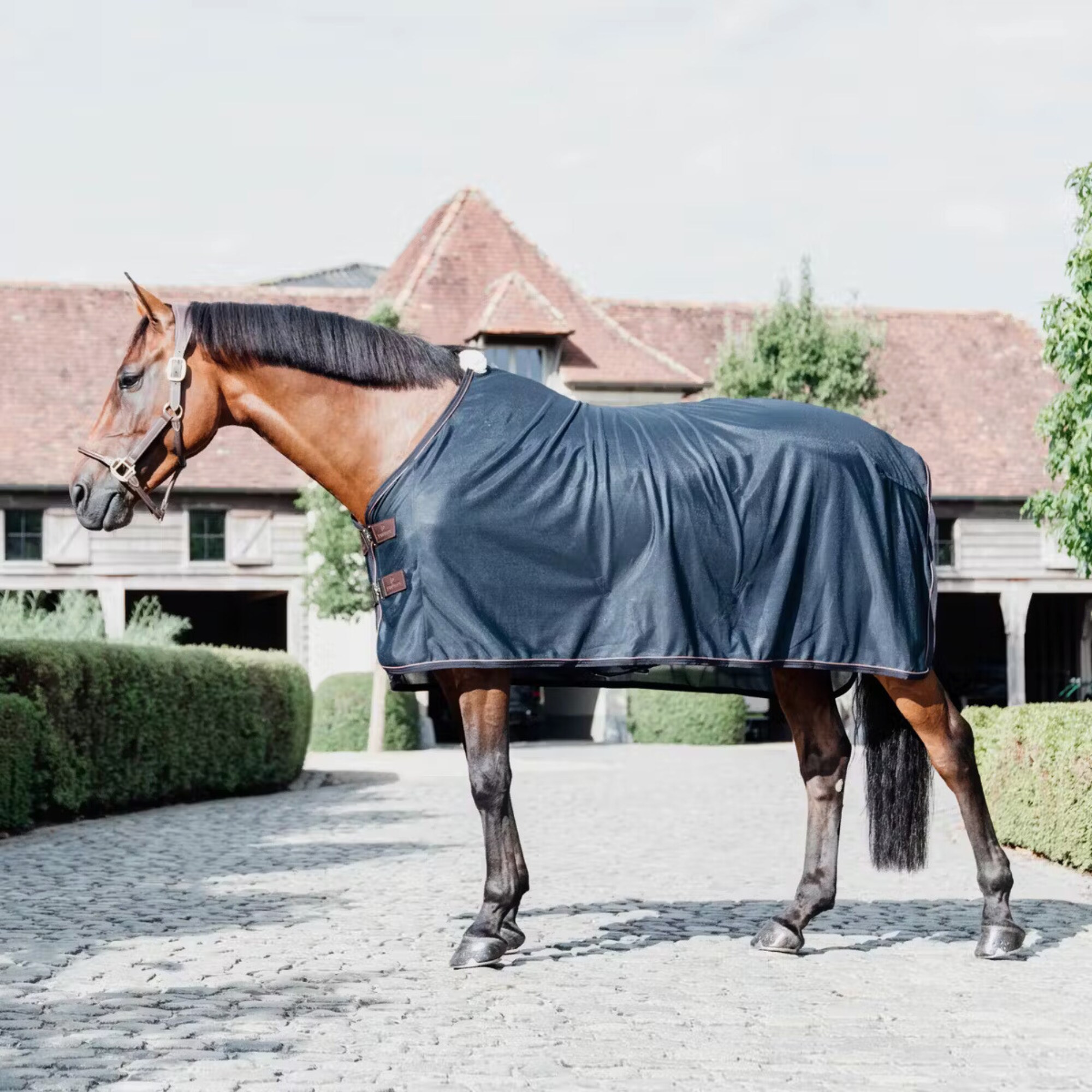 Mesh Fly Sheet - Marineblau