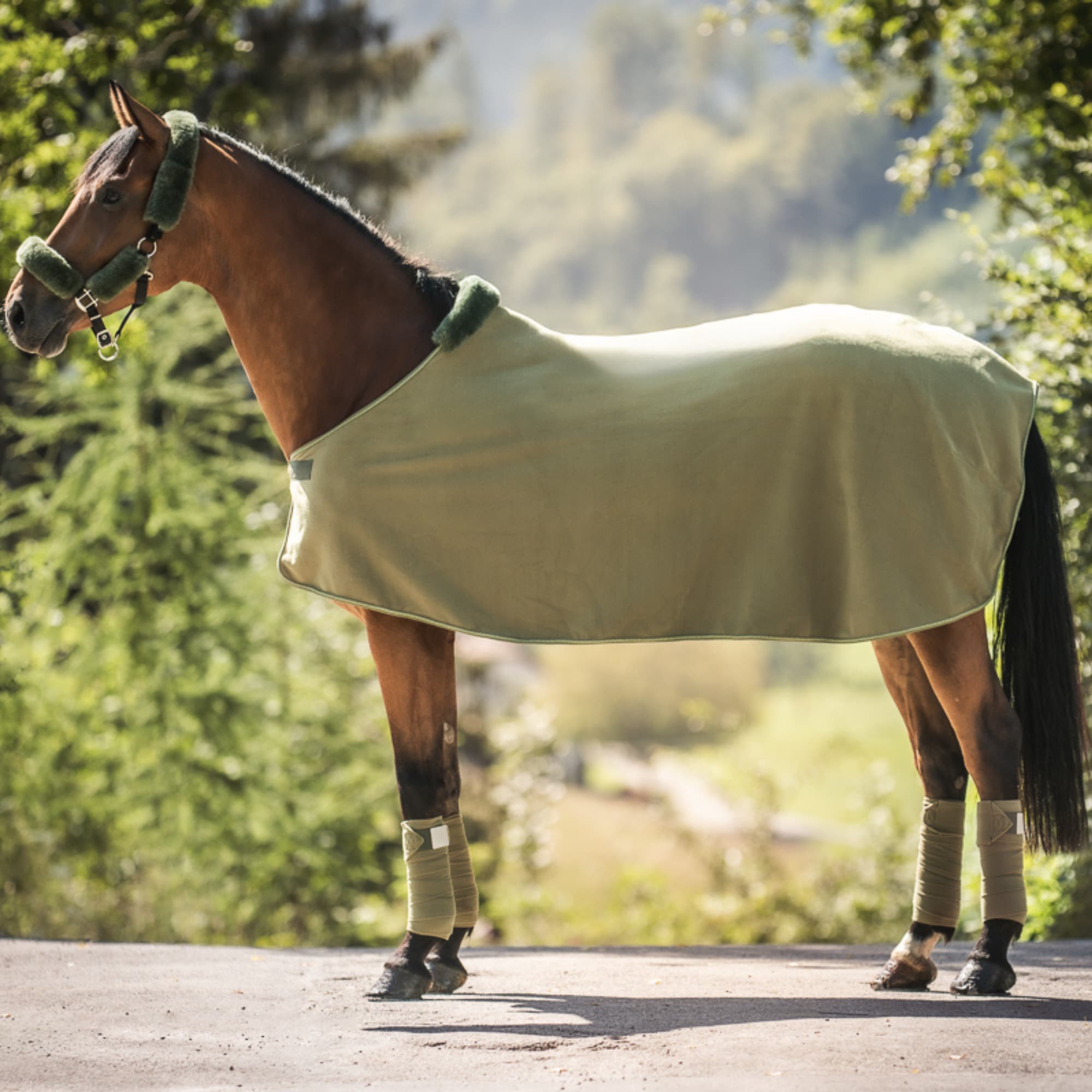 EA Mattes Fleecetäcke Oliv