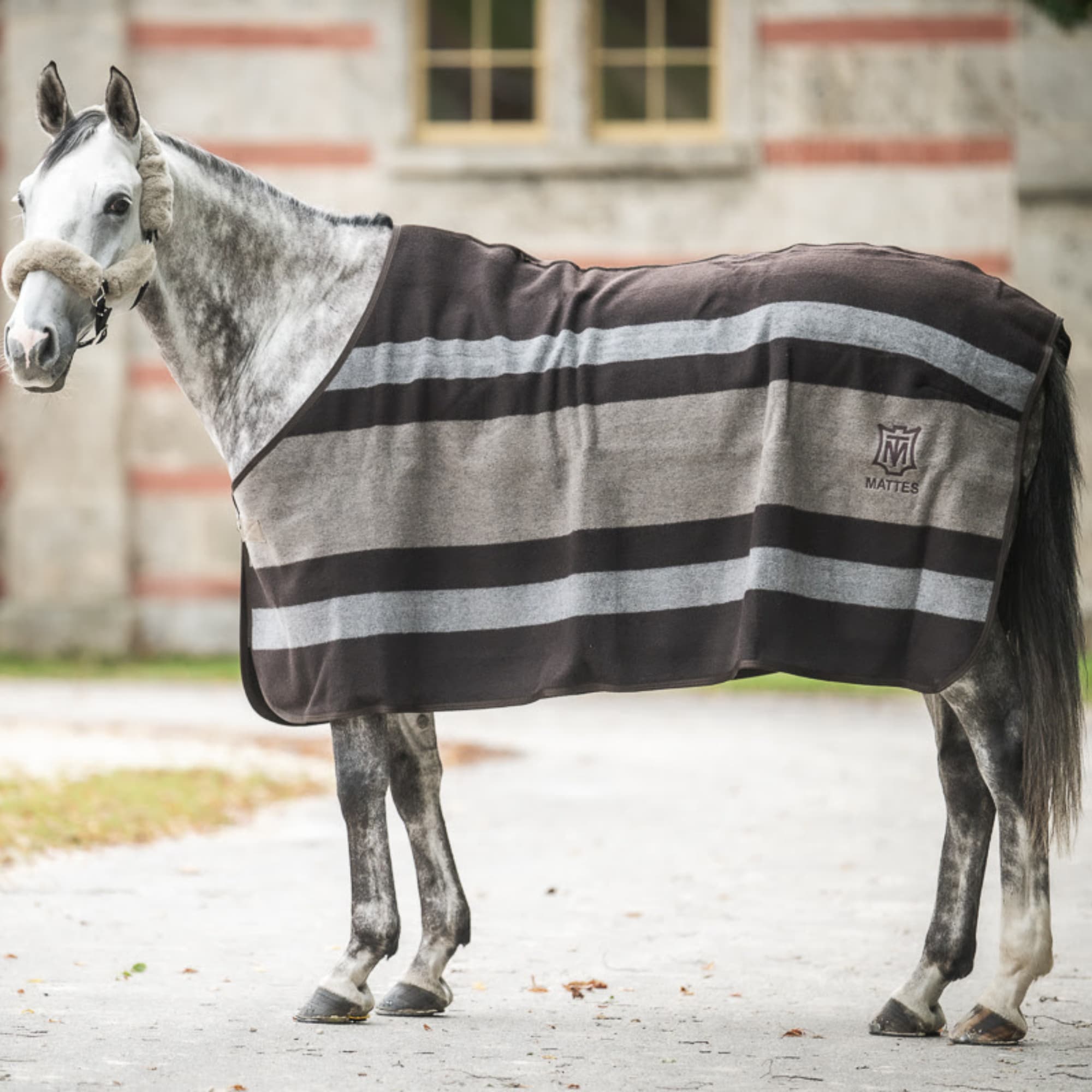 EA Mattes Ulltäcke Brun/Grå