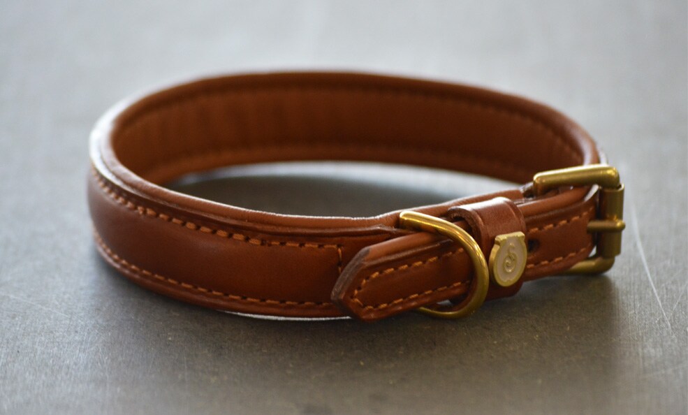 Hundehalsband Leder - Havanna