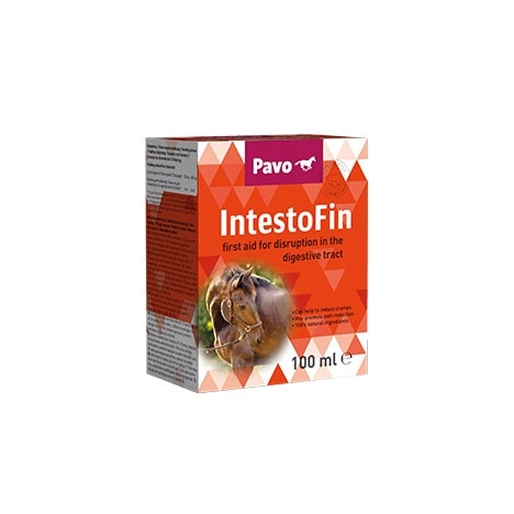 Pavo Intestofin