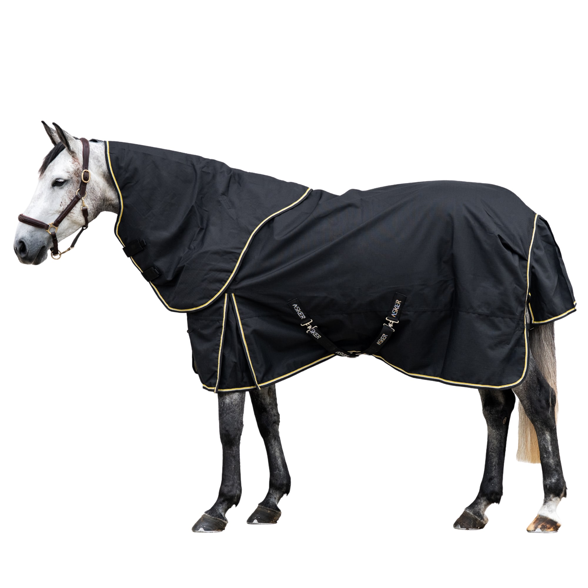 Asker TO Plus 1200D - 100g - Black
