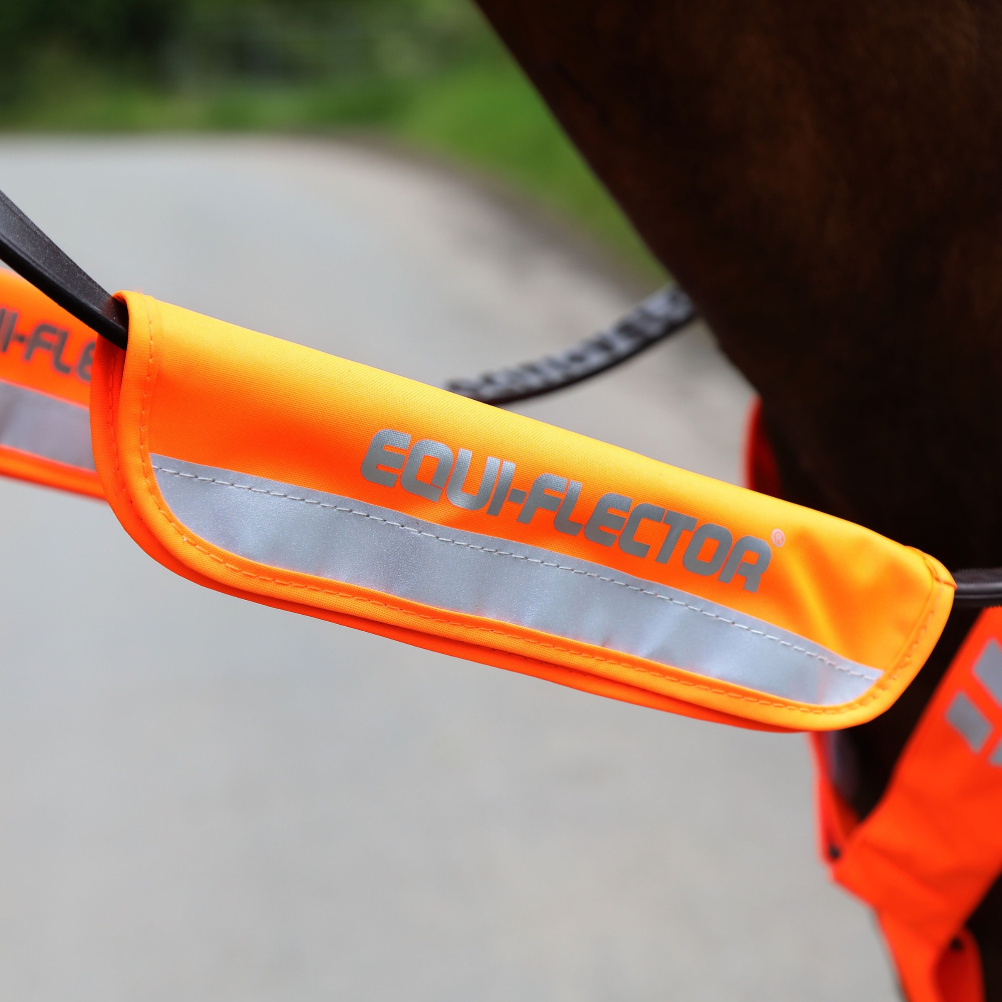 Zügelreflektoren - Orange