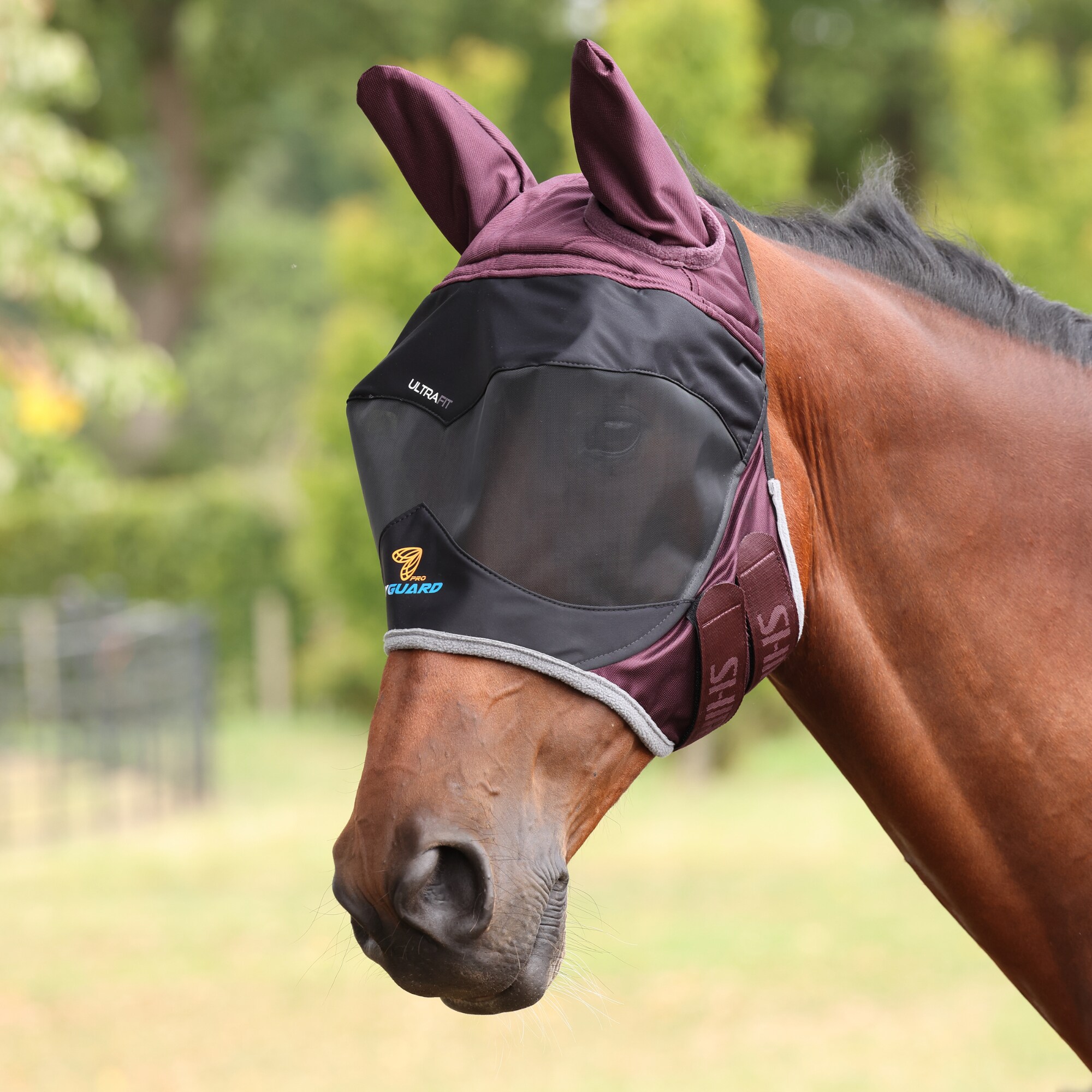 Deluxe Fliegenmaske mit Ohren - Black/Cherry