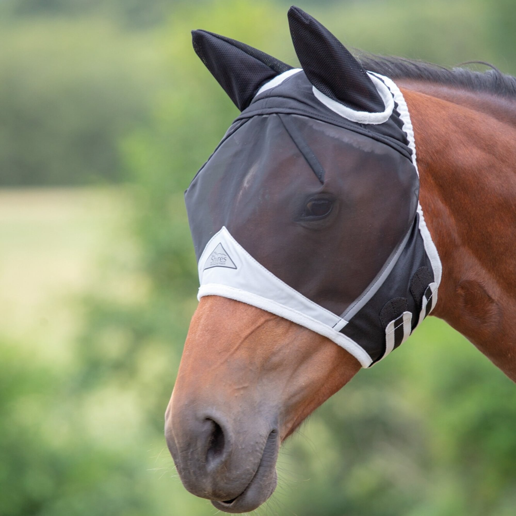 Fliegenmaske Open Forelock