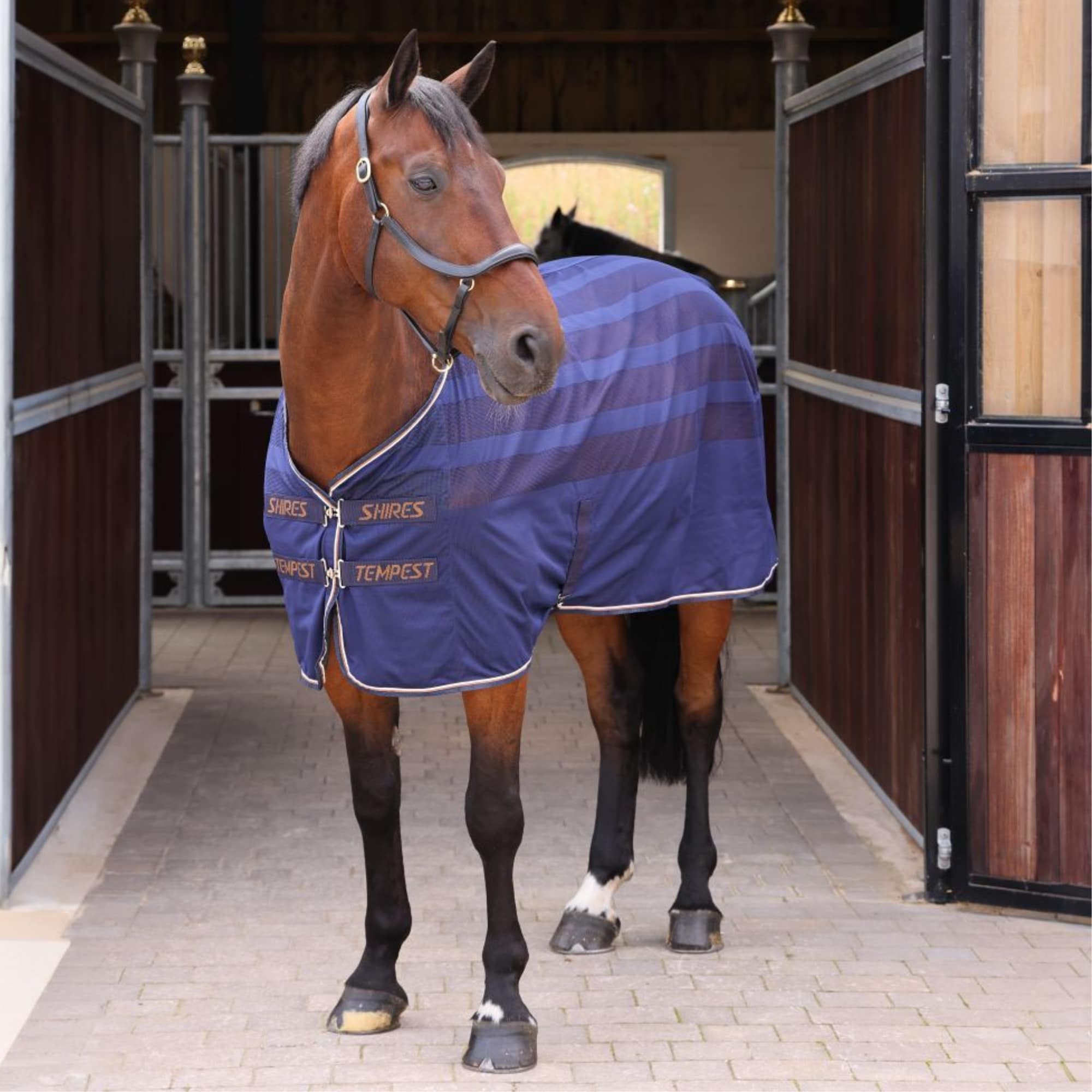 Tempest Cooler Rug - Navy