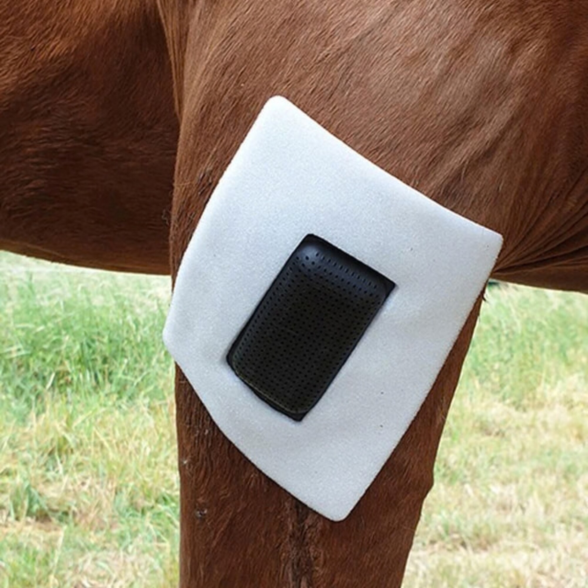 Rheva Extra-Halterung/L