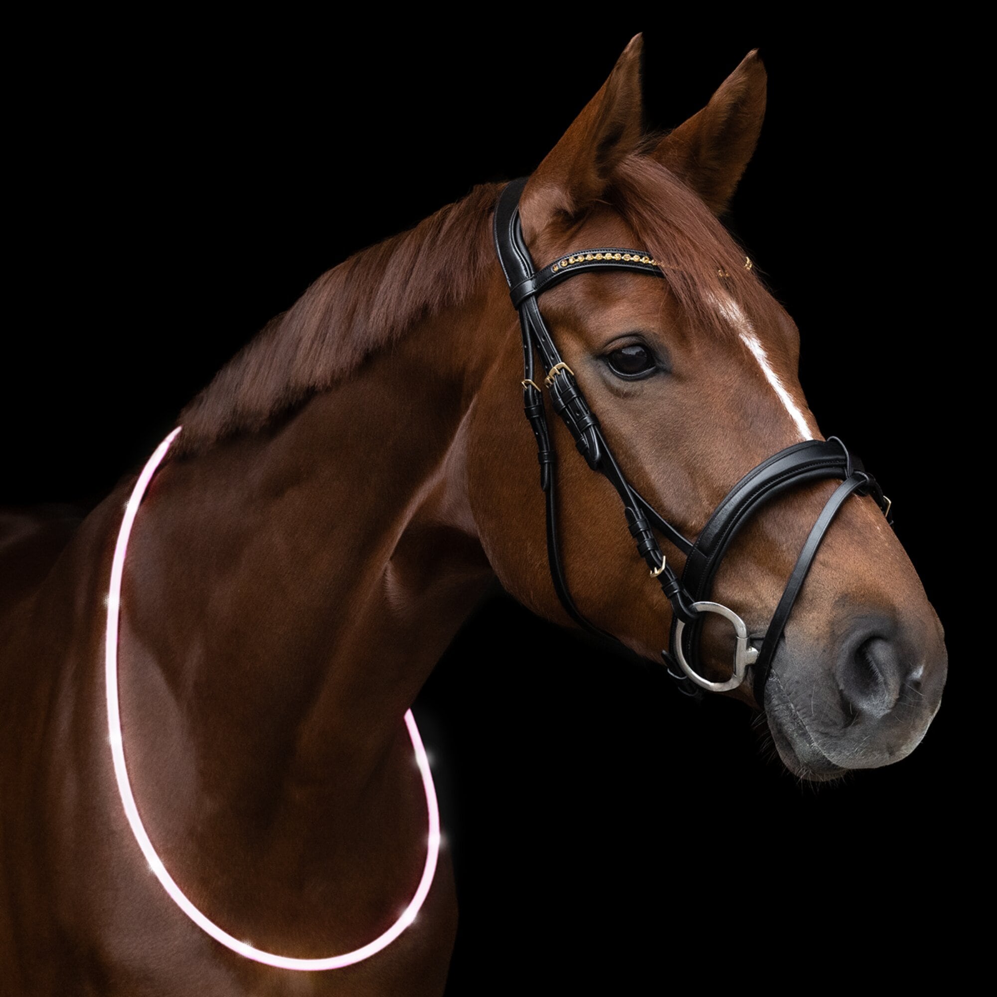 LED Leuchthalsring - Weiß