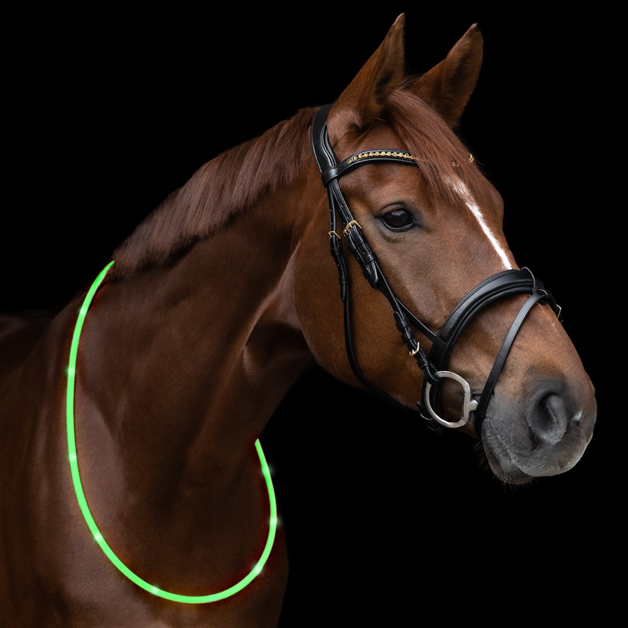 LED Leuchthalsring - Grün